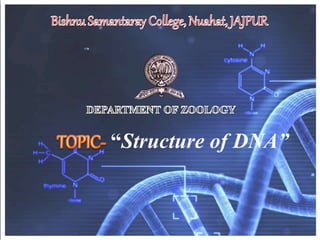 “Structure of DNA”
 