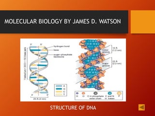 MOLECULAR BIOLOGY BY JAMES D. WATSON
STRUCTURE OF DNA
 