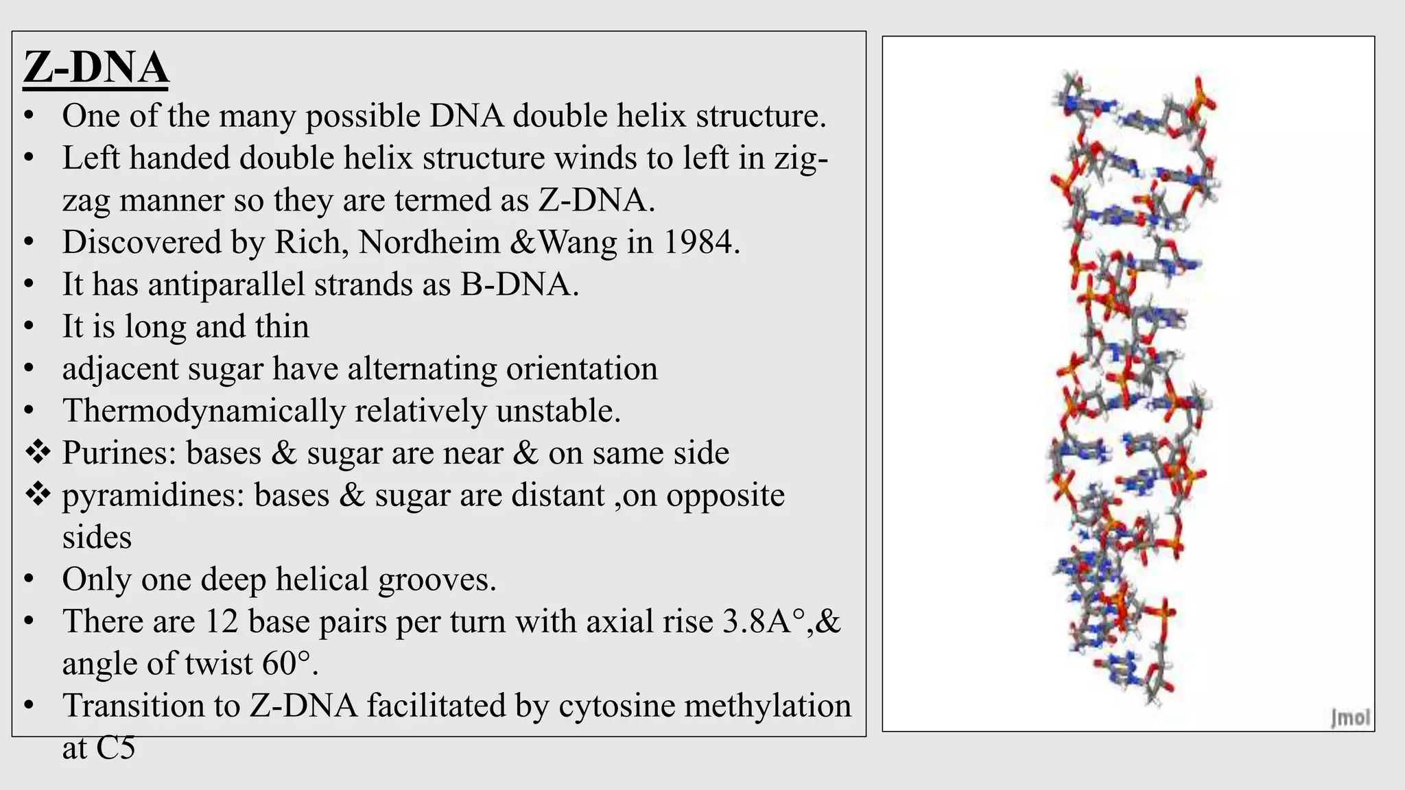 Structure of dna, types of dna forms, turners syndrome | PPTX