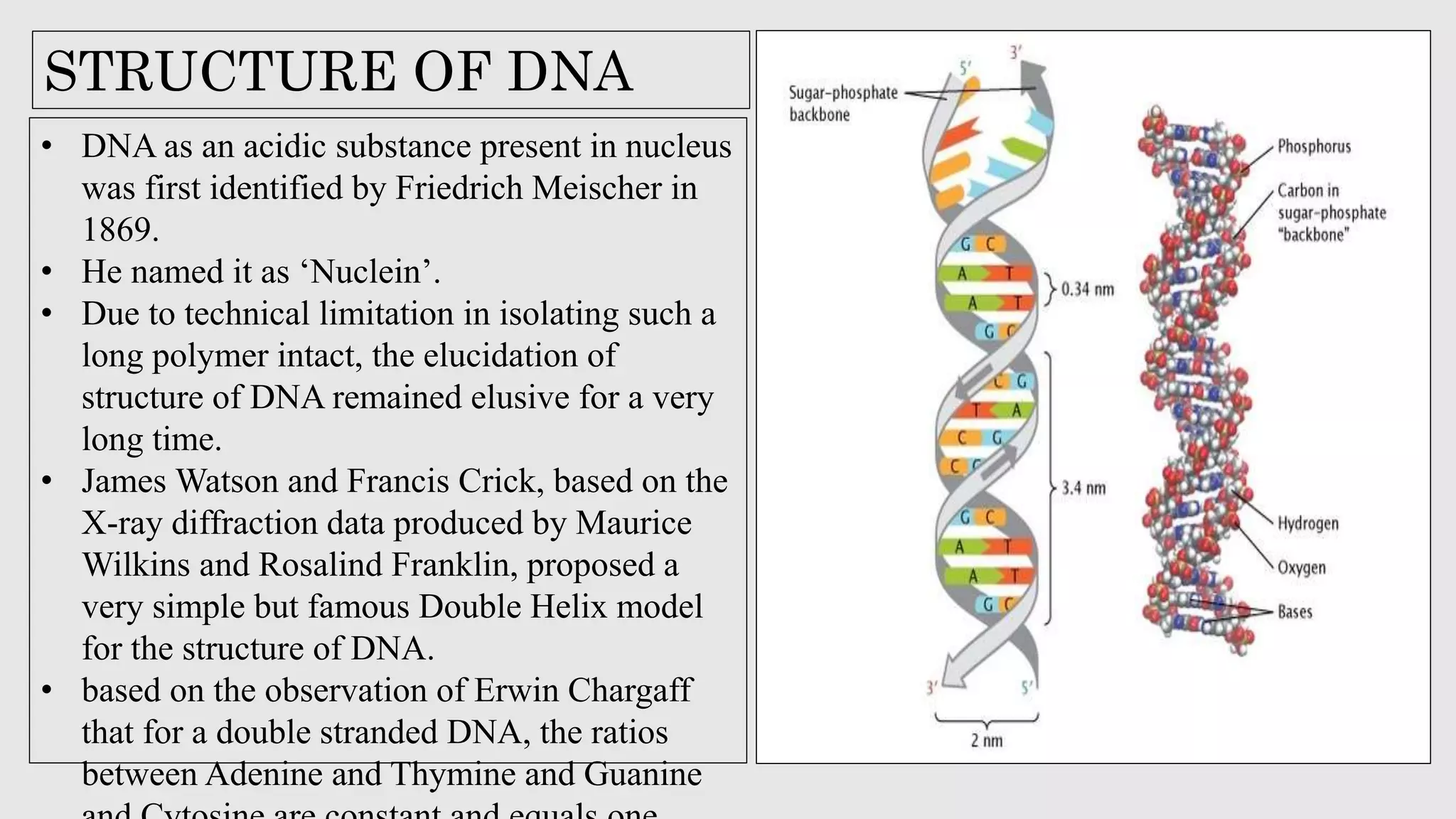 Structure of dna, types of dna forms, turners syndrome | PPTX