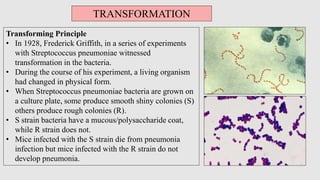 TRANSFORMATION
Transforming Principle
• In 1928, Frederick Griffith, in a series of experiments
with Streptococcus pneumon...