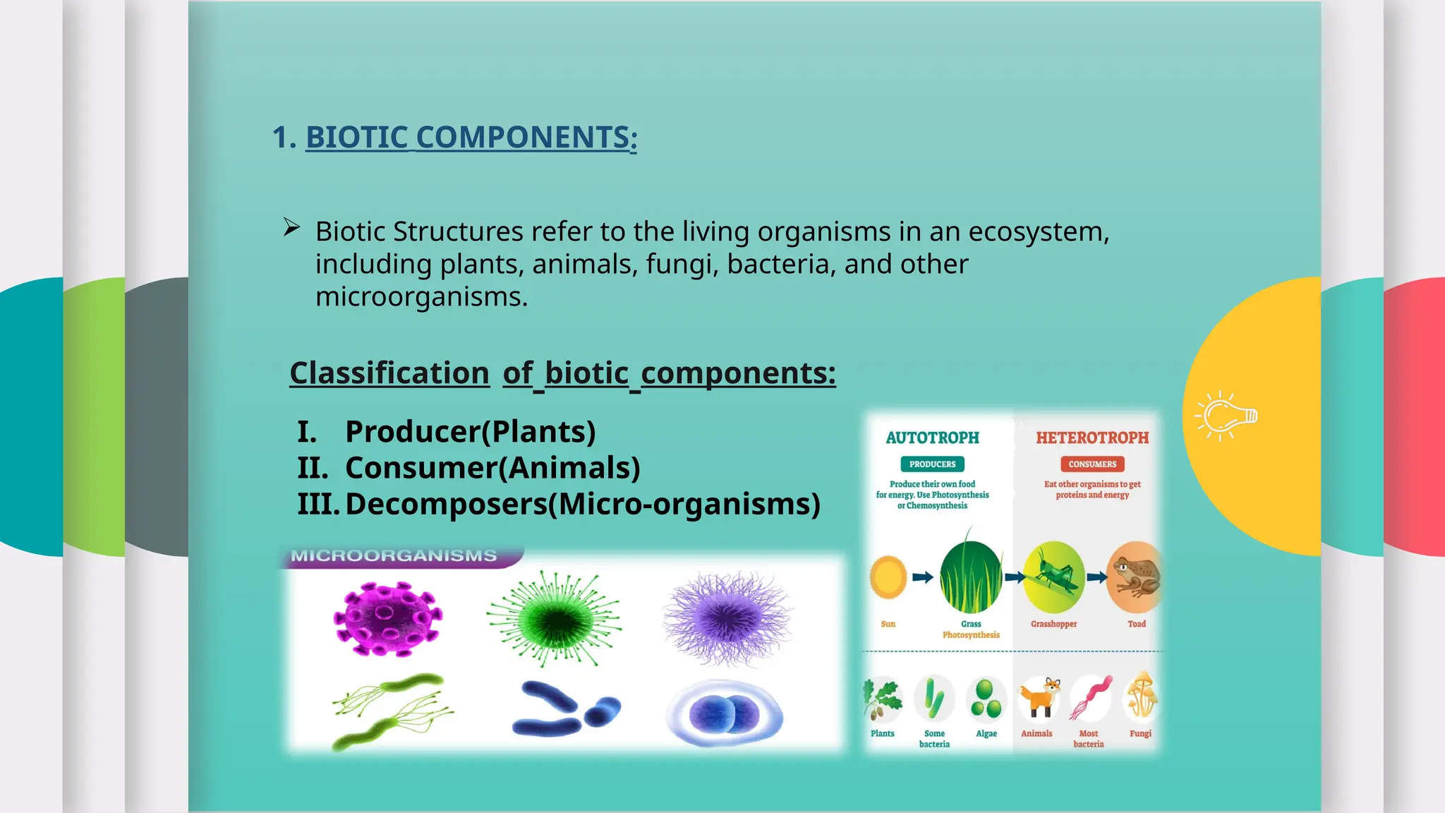 Structure of Ecosystem | PPTX