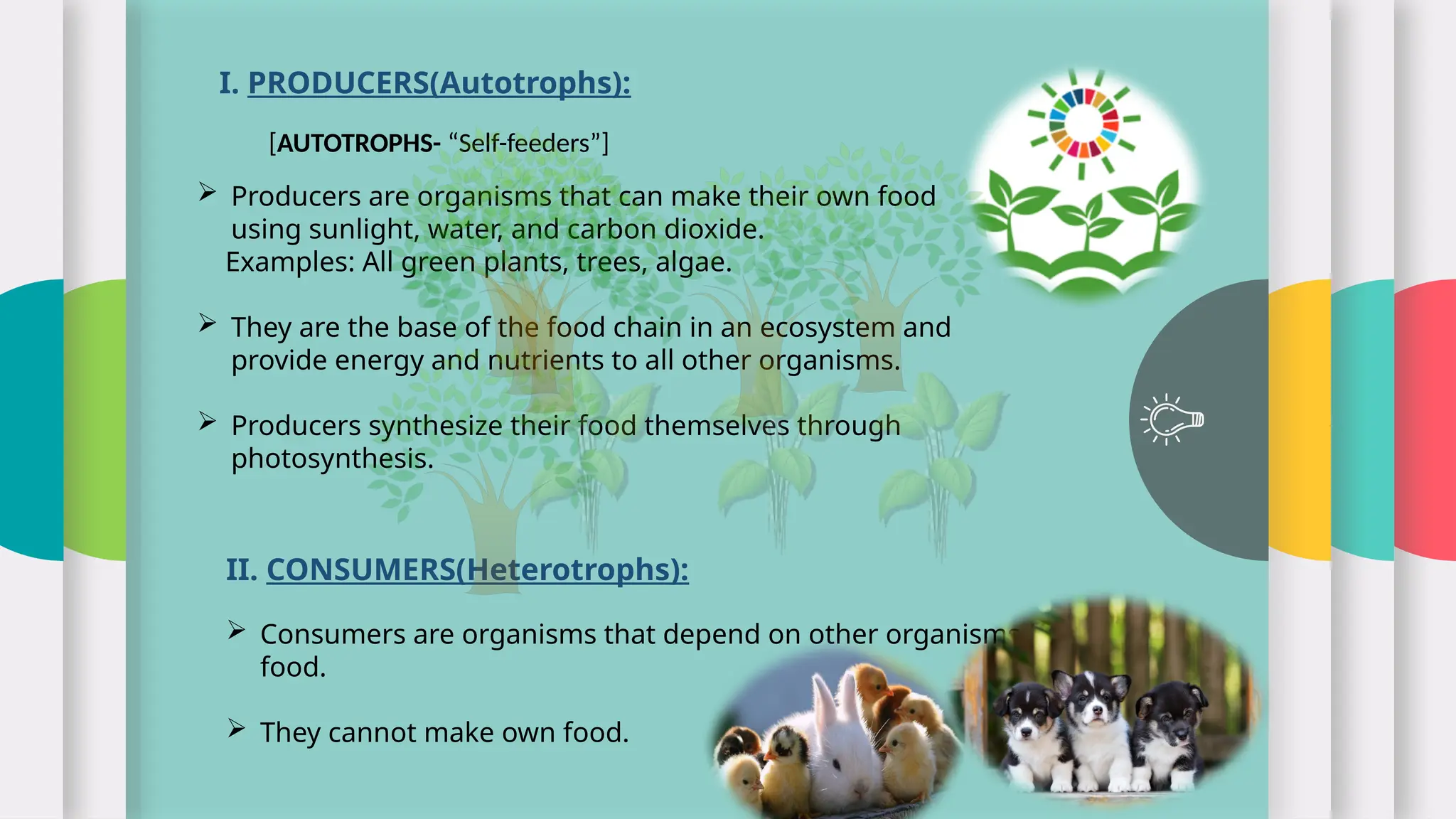 I. PRODUCERS(Autotrophs):
 Producers are organisms that can make their own food
using sunlight, water, and carbon dioxide.
Examples: All green plants, trees, algae.
 They are the base of the food chain in an ecosystem and
provide energy and nutrients to all other organisms.
 Producers synthesize their food themselves through
photosynthesis.
[AUTOTROPHS- “Self-feeders”]
II. CONSUMERS(Heterotrophs):
 Consumers are organisms that depend on other organisms for
food.
 They cannot make own food.
 