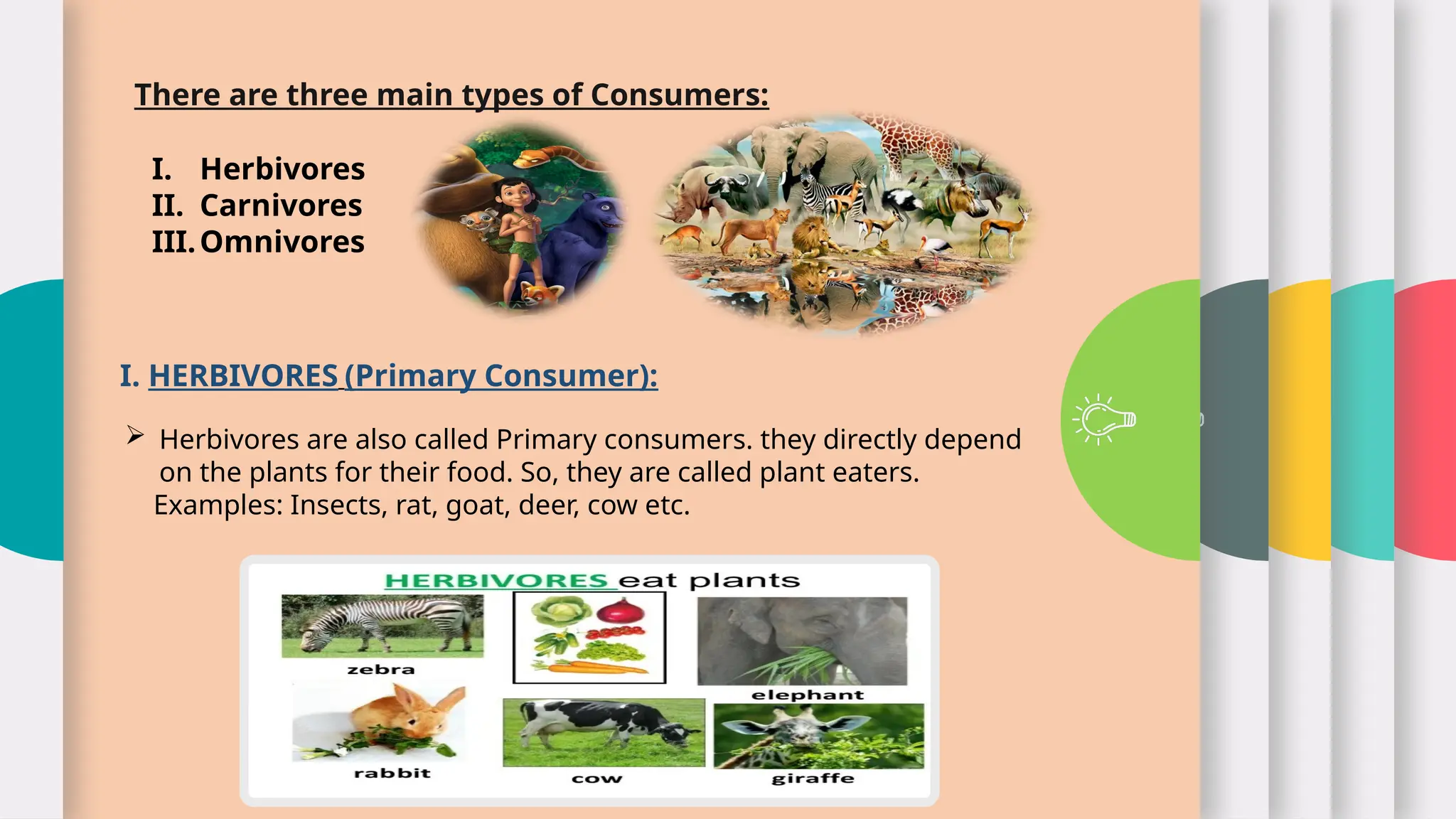 There are three main types of Consumers:
I. Herbivores
II. Carnivores
III.Omnivores
I. HERBIVORES (Primary Consumer):
 Herbivores are also called Primary consumers. they directly depend
on the plants for their food. So, they are called plant eaters.
Examples: Insects, rat, goat, deer, cow etc.
 