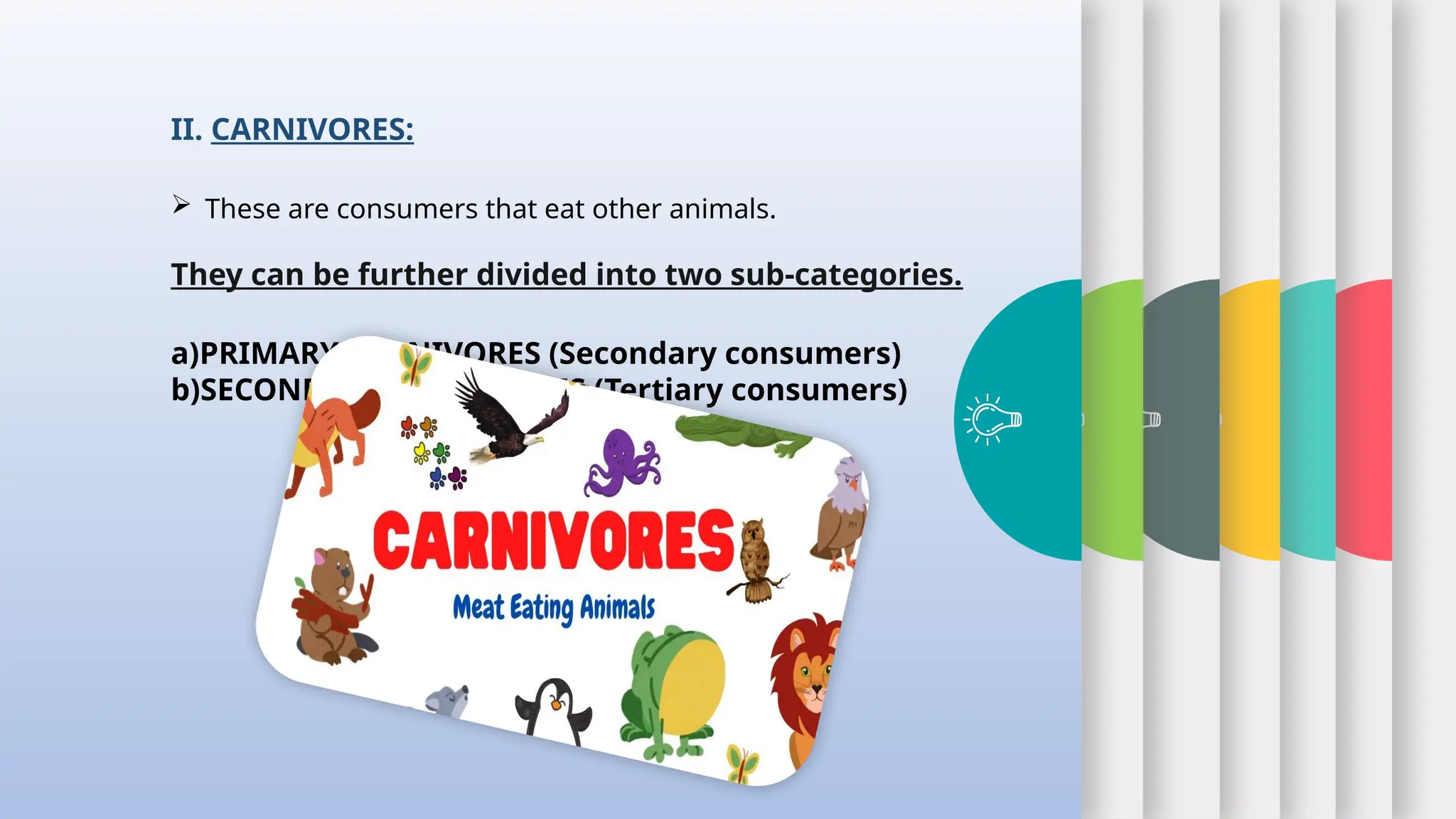 II. CARNIVORES:
 These are consumers that eat other animals.
They can be further divided into two sub-categories.
a)PRIMARY CARNIVORES (Secondary consumers)
b)SECONDARY CARNIVORES (Tertiary consumers)
 