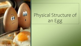 Physical Structure of
an Egg
 