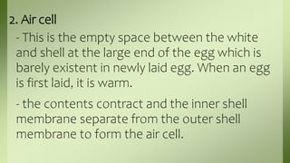 structure of eggs.pptx