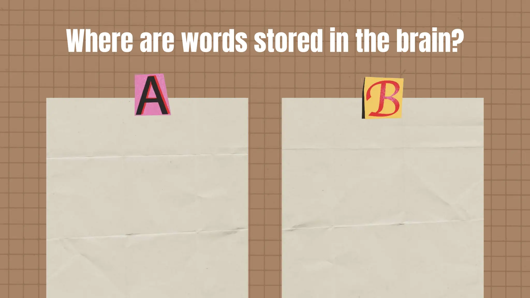 Where are words stored in the brain?
 
