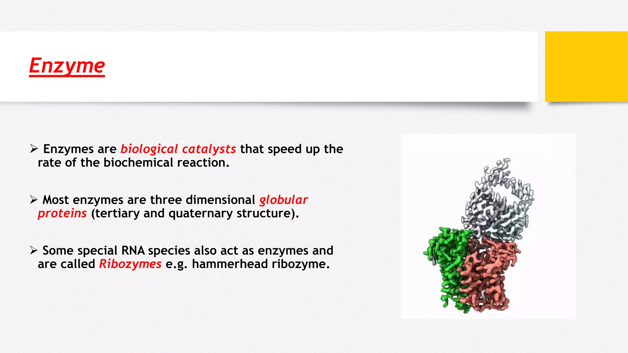 Enzyme
 Enzymes are biological catalysts that speed up the
rate of the biochemical reaction.
 Most enzymes are three dimensional globular
proteins (tertiary and quaternary structure).
 Some special RNA species also act as enzymes and
are called Ribozymes e.g. hammerhead ribozyme.
 
