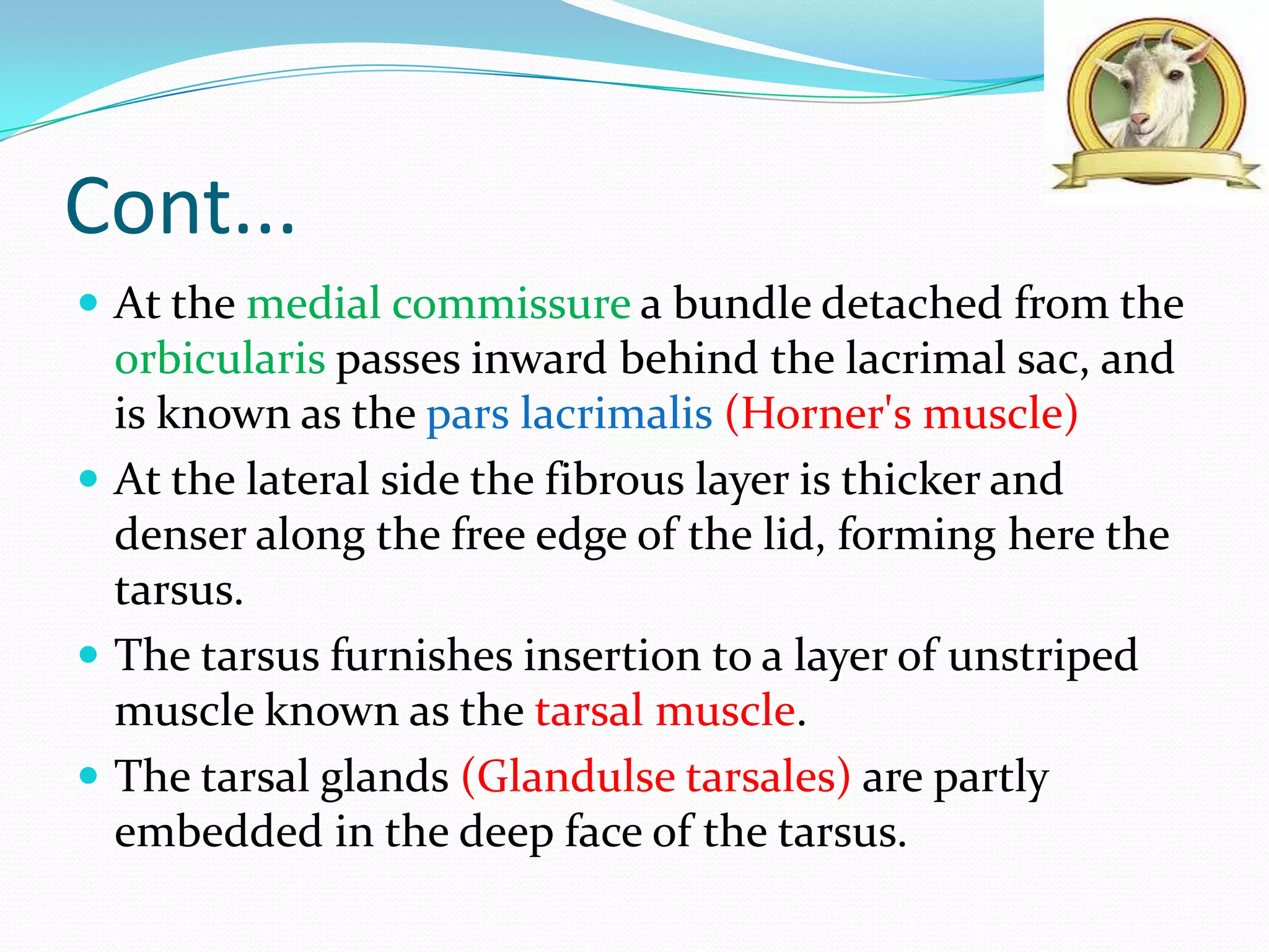Structure of eye | PPTX