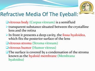 Refractive Media Of The Eyeball:
  vitreous body (Corpus vitreum) is a semifluid
   transparent substance situated between the crystalline
    lens and the retina
   In front it presents a deep cavity, the fossa hyaloidea,
    which fits the posterior surface of the lens
  vitreous stroma (Stroma vitreum)
  vitreous humor (Humor vitreus)
  The surface is covered by a condensation of the stroma
    known as the hyaloid membrane (Membrana
    hyaloidea)
 