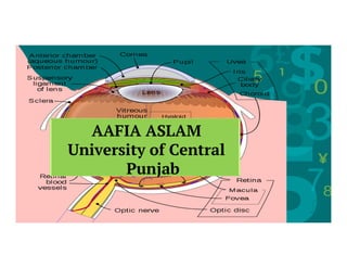 AAFIA ASLAM
University of Central
Punjab
 