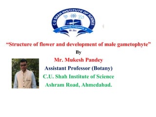 “Structure of flower and development of male gametophyte”
By
Mr. Mukesh Pandey
Assistant Professor (Botany)
C.U. Shah Institute of Science
Ashram Road, Ahmedabad.
 