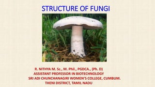 STRUCTURE OF FUNGI
R. NITHYA M. Sc., M. Phil., PGDCA., (Ph. D)
ASSISTANT PROFESSOR IN BIOTECHNOLOGY
SRI ADI CHUNCHANAGIRI WOMEN’S COLLEGE, CUMBUM.
THENI DISTRICT, TAMIL NADU
 