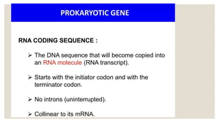 STRUCTURE OF GENE and genetic code in animals ppt | PPTX