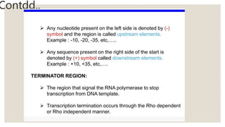 STRUCTURE OF GENE and genetic code in animals ppt | PPTX