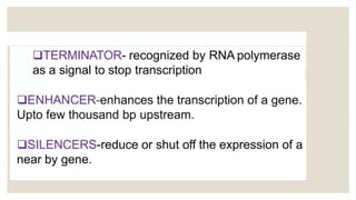 STRUCTURE OF GENE and genetic code in animals ppt | PPT