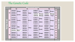 STRUCTURE OF GENE and genetic code in animals ppt | PPTX