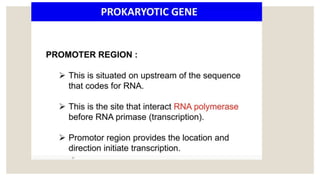 STRUCTURE OF GENE and genetic code in animals ppt | PPTX