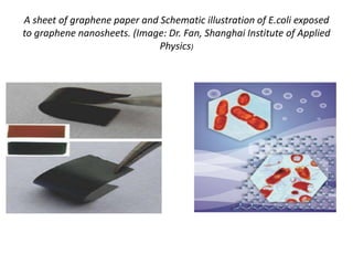 A sheet of graphene paper and Schematic illustration of E.coli exposed
to graphene nanosheets. (Image: Dr. Fan, Shanghai Institute of Applied
Physics)

 