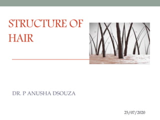 STRUCTURE OF
HAIR
DR. P ANUSHA DSOUZA
25/07/2020
 