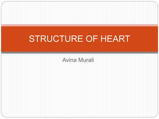 Avina Murali
STRUCTURE OF HEART
 