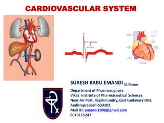 CARDIOVASCULAR SYSTEM
SURESH BABU EMANDI M.Pharm
Department of Pharmacognosy
Vikas Institute of Pharmaceutical Sciences
Near Air Port, Rajahmundry, East Godavary Dist.
Andhrapradesh-533102.
Mail ID: emandi2008@gmail.com
8019115247
 