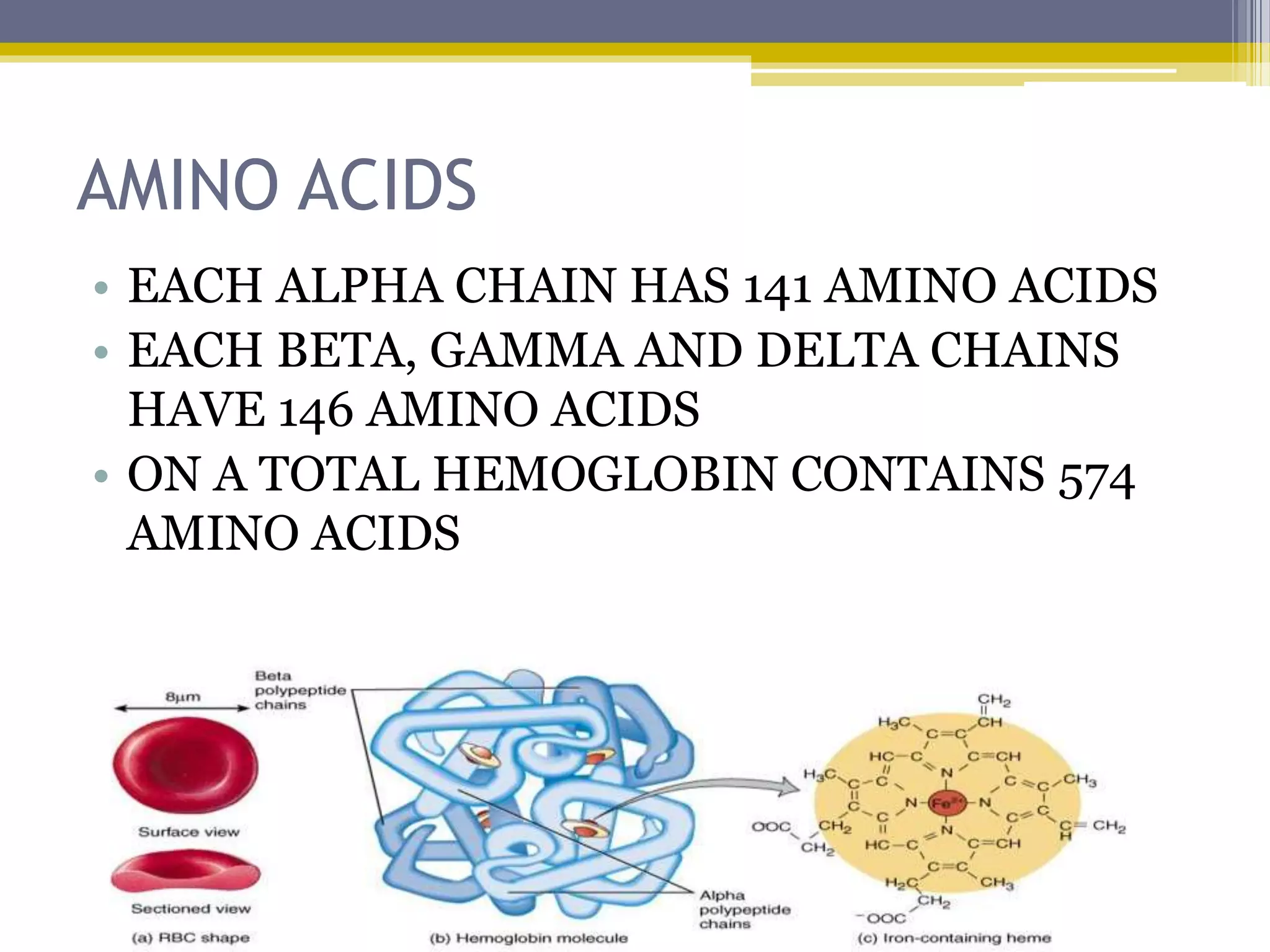 AMINO ACIDS
• EACH ALPHA CHAIN HAS 141 AMINO ACIDS
• EACH BETA, GAMMA AND DELTA CHAINS
HAVE 146 AMINO ACIDS
• ON A TOTAL HEMOGLOBIN CONTAINS 574
AMINO ACIDS
 