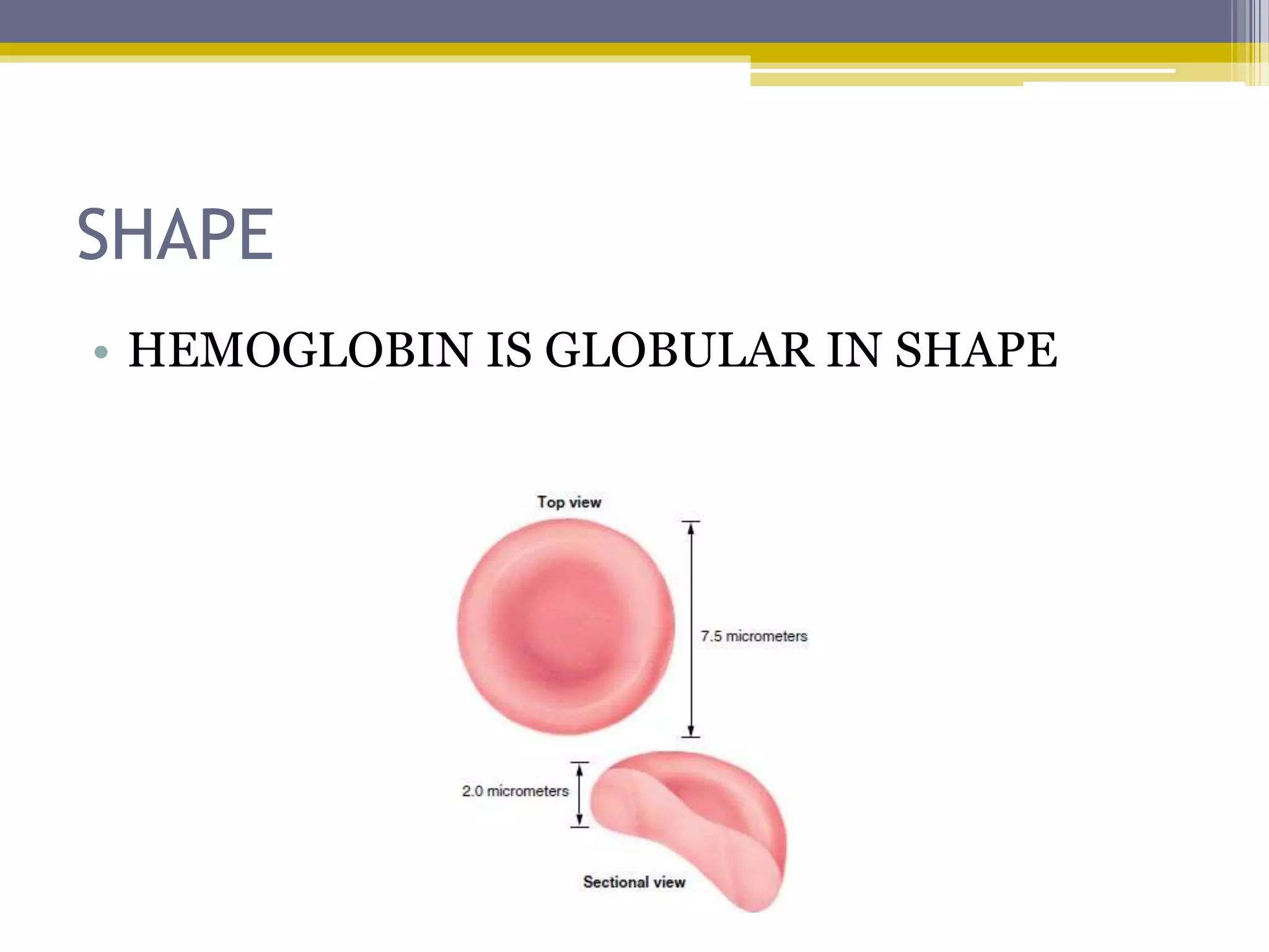 SHAPE
• HEMOGLOBIN IS GLOBULAR IN SHAPE
 