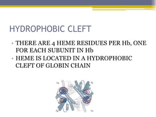HYDROPHOBIC CLEFT
• THERE ARE 4 HEME RESIDUES PER Hb, ONE
FOR EACH SUBUNIT IN Hb
• HEME IS LOCATED IN A HYDROPHOBIC
CLEFT OF GLOBIN CHAIN
 
