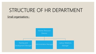 Human Resources Department Structure