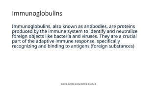 STRUCTURE OF IMMUNOGLOBULINS.pptx unit-3 Biotechnology | PPTX