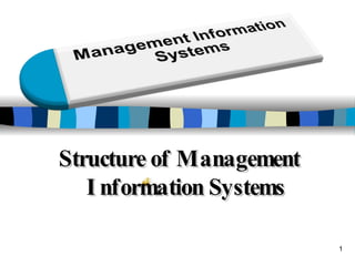 Structure of Management Information Systems 