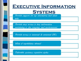 Executive Information Systems 
