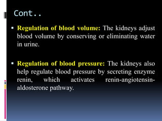Cont..
▪ Regulation of blood volume: The kidneys adjust
blood volume by conserving or eliminating water
in urine.
▪ Regulation of blood pressure: The kidneys also
help regulate blood pressure by secreting enzyme
renin, which activates renin-angiotensin-
aldosterone pathway.
 