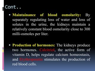 Cont..
▪ Maintainance of blood osmolarity: By
separately regulating loss of water and loss of
solutes in the urine, the kidneys maintain a
relatively constant blood osmolarity close to 300
milli-osmoles per liter.
▪ Production of hormones: The kidneys produce
two hormones. Calcitriol, the active form of
vitamin D, helps regulate calcium homeostasis,
and Erythropoietin stimulates the production of
red blood cells.
 