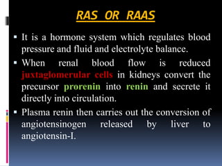 RAS OR RAAS
▪ It is a hormone system which regulates blood
pressure and fluid and electrolyte balance.
▪ When renal blood flow is reduced
juxtaglomerular cells in kidneys convert the
precursor prorenin into renin and secrete it
directly into circulation.
▪ Plasma renin then carries out the conversion of
angiotensinogen released by liver to
angiotensin-I.
 
