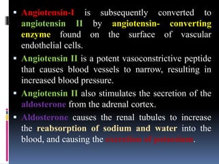 ▪ Angiotensin-I is subsequently converted to
angiotensin II by angiotensin- converting
enzyme found on the surface of vascular
endothelial cells.
▪ Angiotensin II is a potent vasoconstrictive peptide
that causes blood vessels to narrow, resulting in
increased blood pressure.
▪ Angiotensin II also stimulates the secretion of the
aldosterone from the adrenal cortex.
▪ Aldosterone causes the renal tubules to increase
the reabsorption of sodium and water into the
blood, and causing the excretion of potassium.
 