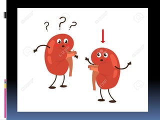 structure of kidney.pdf