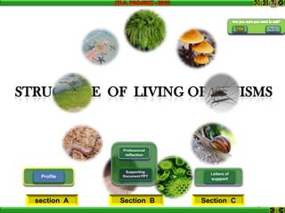 Structure of living organism