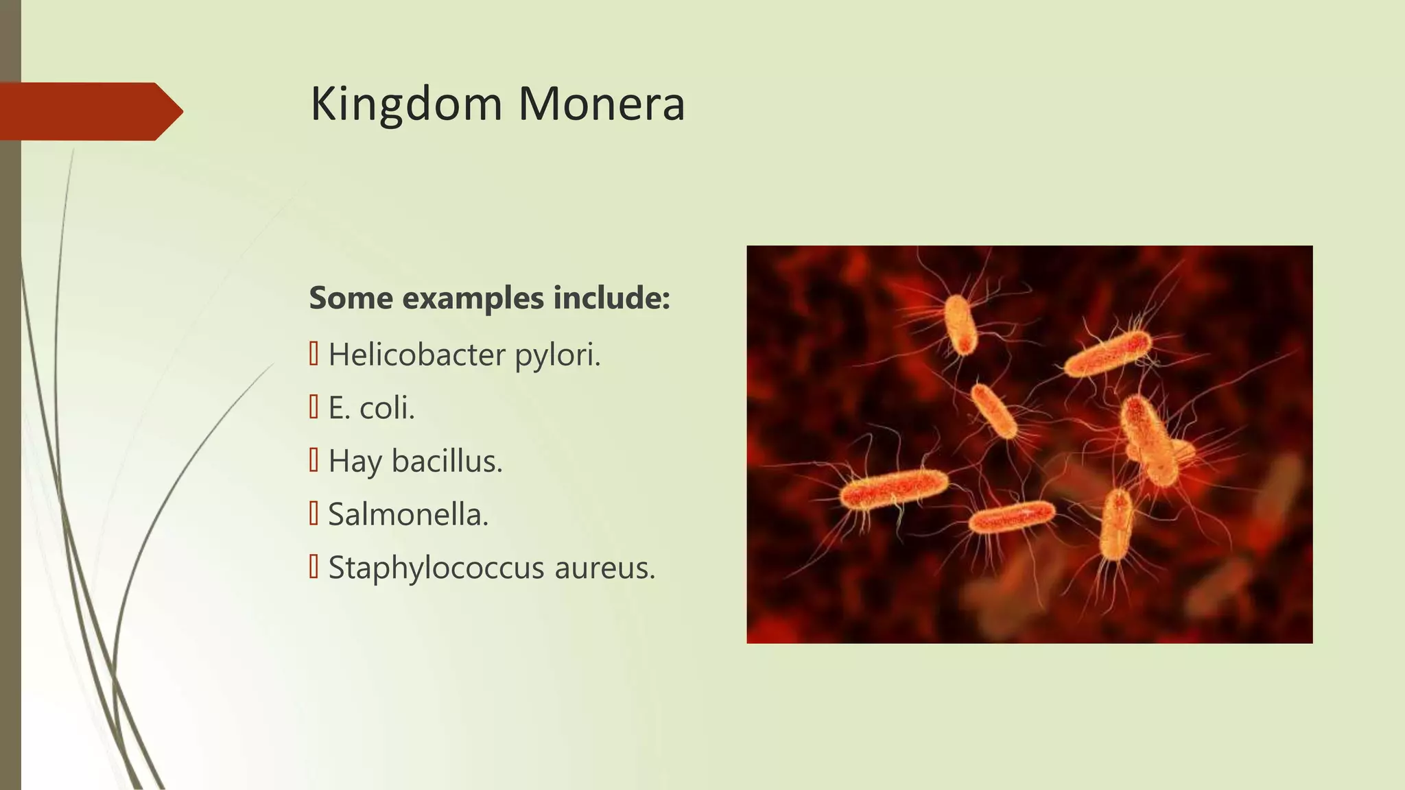 structure of mo.pptx