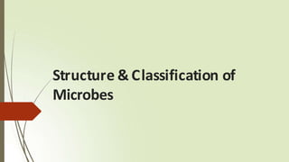 Structure & Classification of
Microbes
 