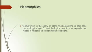 Define Pleomorphic structure of mo.pptx