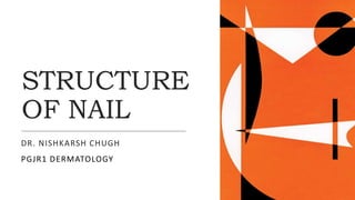 STRUCTURE
OF NAIL
DR. NISHKARSH CHUGH
PGJR1 DERMATOLOGY
 