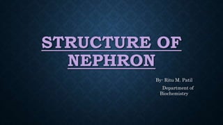 Structure of nephron.pptx