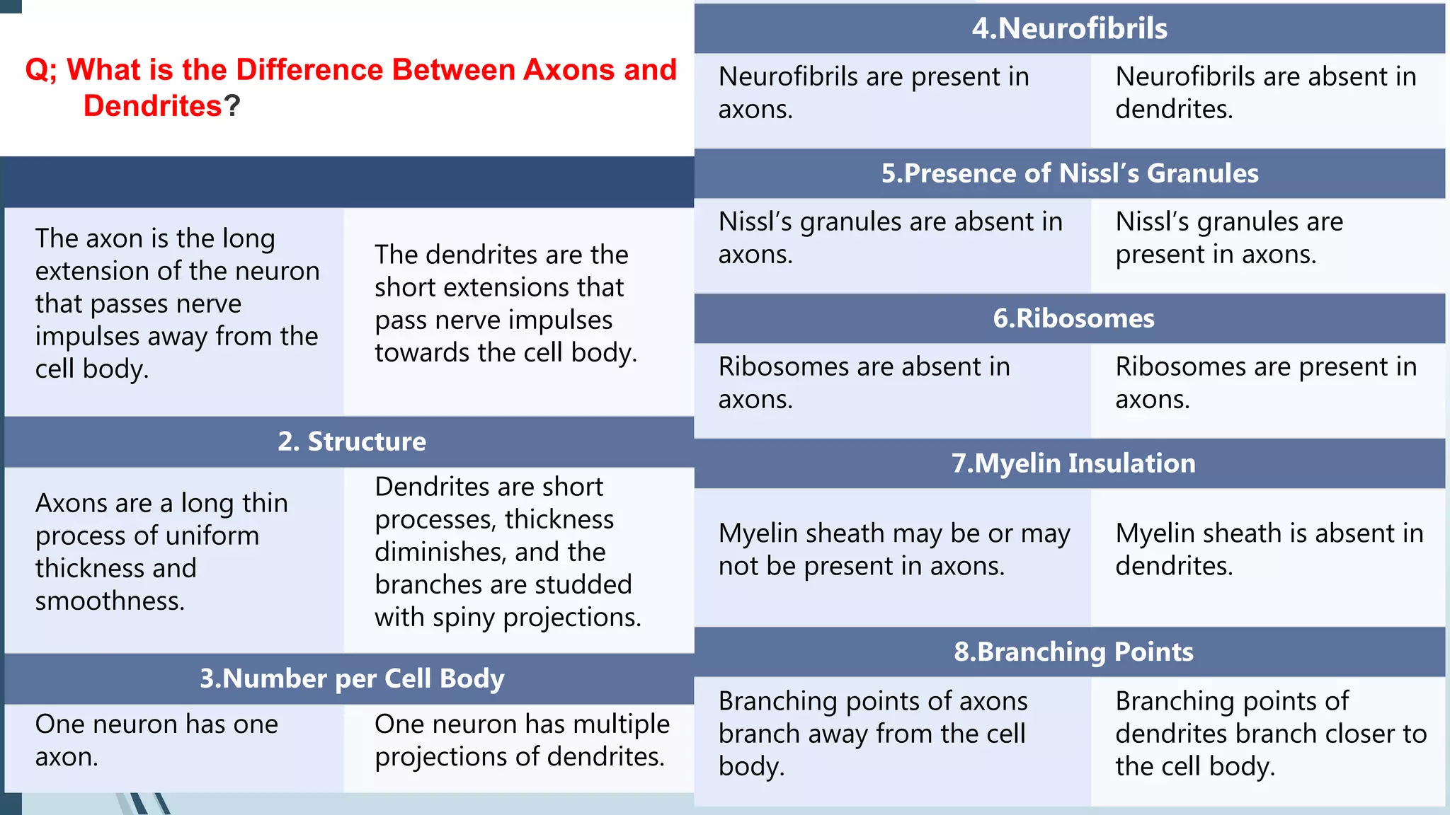 Vijaylaxmi Pattanshetti
1.Axons vs Dendrites
The axon is the long
extension of the neuron
that passes nerve
impulses away from the
cell body.
The dendrites are the
short extensions that
pass nerve impulses
towards the cell body.
2. Structure
Axons are a long thin
process of uniform
thickness and
smoothness.
Dendrites are short
processes, thickness
diminishes, and the
branches are studded
with spiny projections.
3.Number per Cell Body
One neuron has one
axon.
One neuron has multiple
projections of dendrites.
Q; What is the Difference Between Axons and
Dendrites?
4.Neurofibrils
Neurofibrils are present in
axons.
Neurofibrils are absent in
dendrites.
5.Presence of Nissl’s Granules
Nissl’s granules are absent in
axons.
Nissl’s granules are
present in axons.
6.Ribosomes
Ribosomes are absent in
axons.
Ribosomes are present in
axons.
7.Myelin Insulation
Myelin sheath may be or may
not be present in axons.
Myelin sheath is absent in
dendrites.
8.Branching Points
Branching points of axons
branch away from the cell
body.
Branching points of
dendrites branch closer to
the cell body.
 