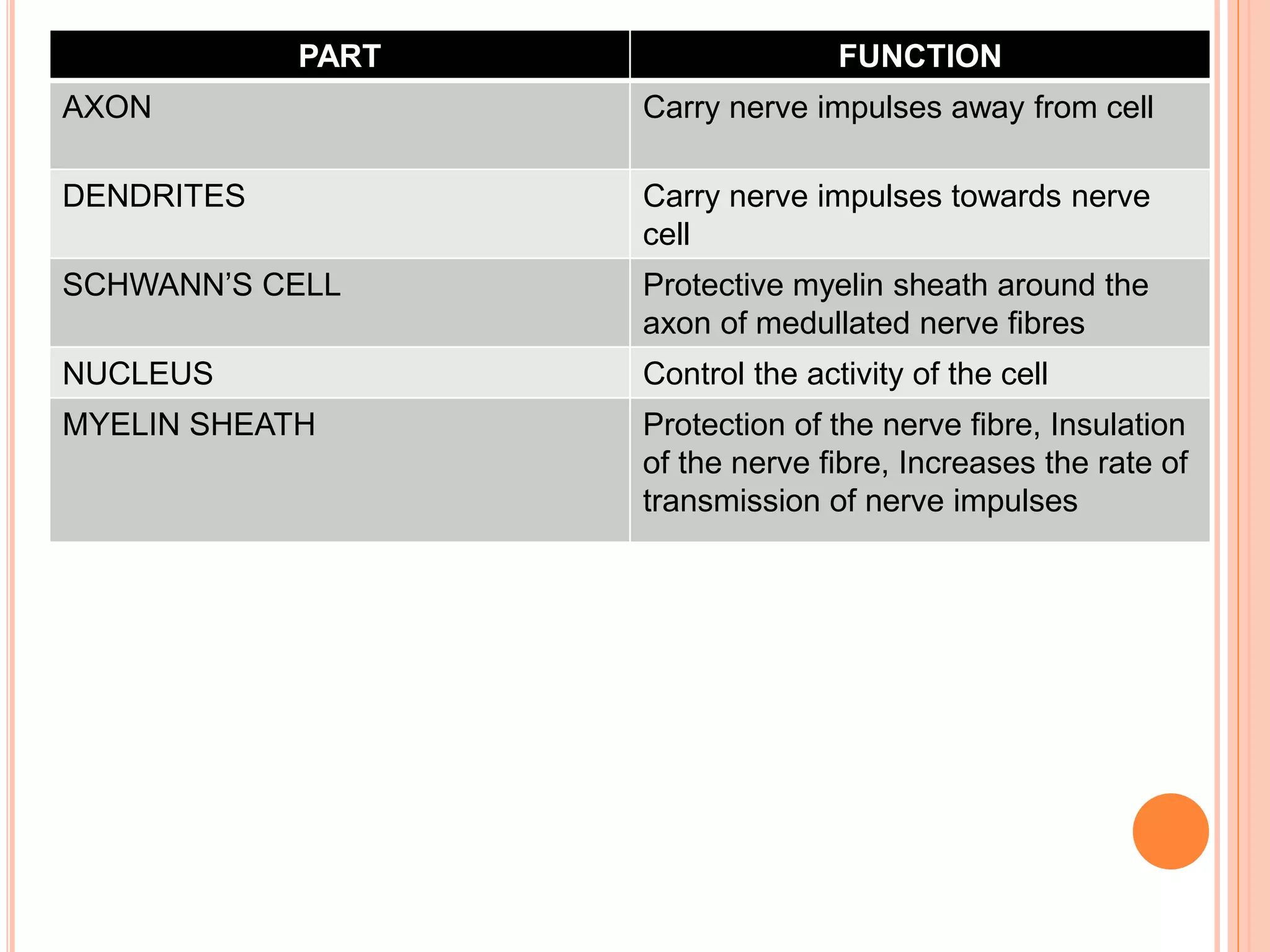 PART FUNCTION
AXON Carry nerve impulses away from cell
DENDRITES Carry nerve impulses towards nerve
cell
SCHWANN’S CELL Protective myelin sheath around the
axon of medullated nerve fibres
NUCLEUS Control the activity of the cell
MYELIN SHEATH Protection of the nerve fibre, Insulation
of the nerve fibre, Increases the rate of
transmission of nerve impulses
 