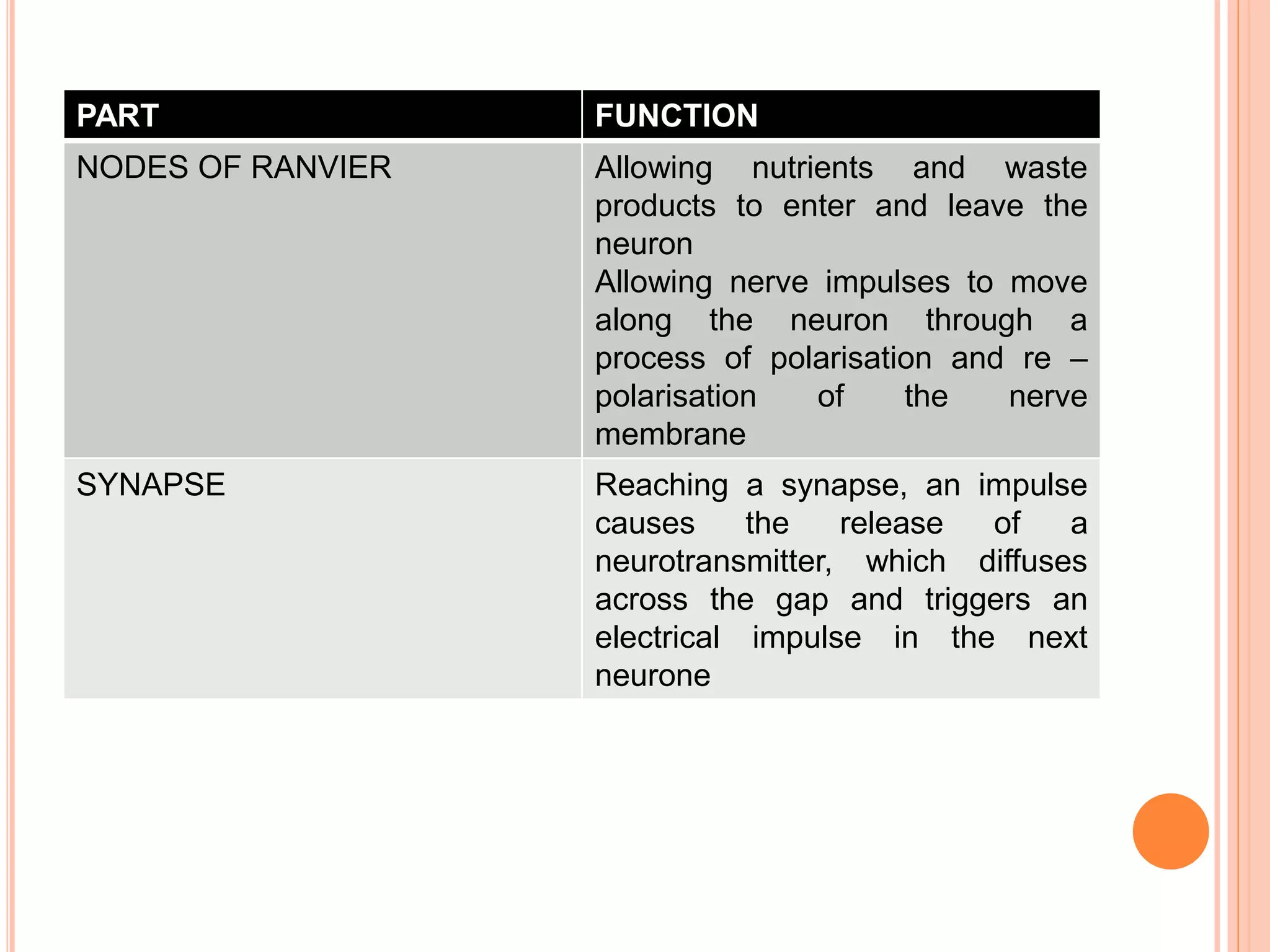 PART FUNCTION
NODES OF RANVIER Allowing nutrients and waste
products to enter and leave the
neuron
Allowing nerve impulses to move
along the neuron through a
process of polarisation and re –
polarisation of the nerve
membrane
SYNAPSE Reaching a synapse, an impulse
causes the release of a
neurotransmitter, which diffuses
across the gap and triggers an
electrical impulse in the next
neurone
 