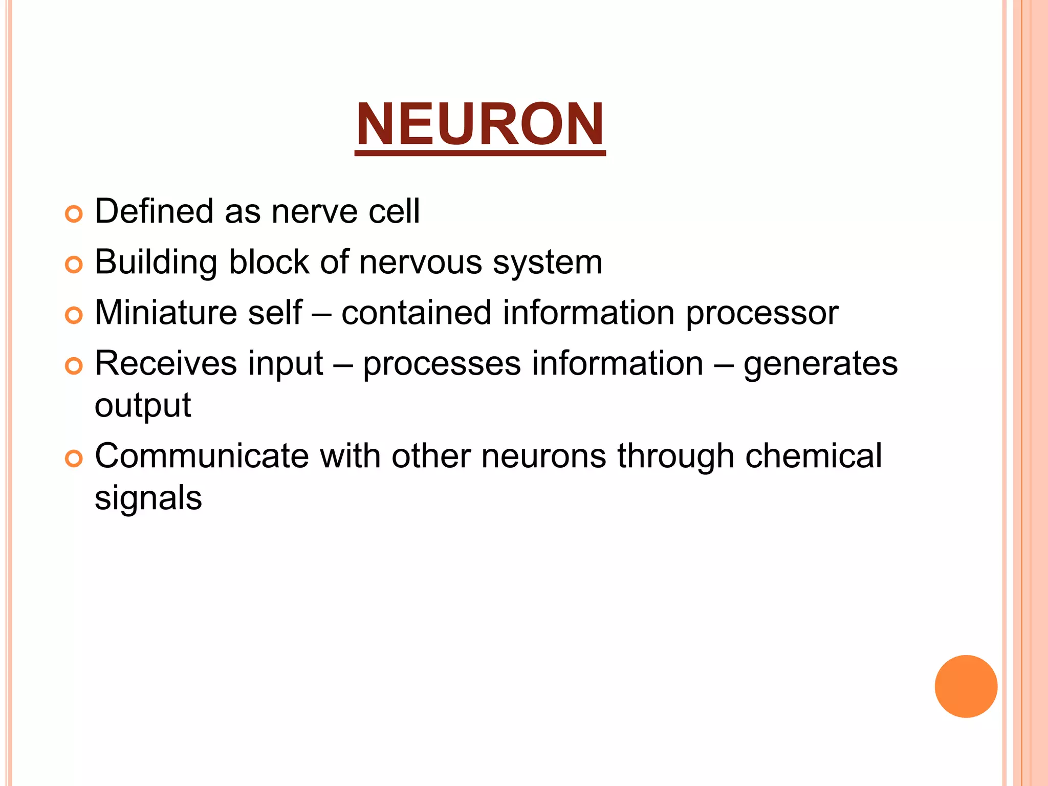 NEURON
 Defined as nerve cell
 Building block of nervous system
 Miniature self – contained information processor
 Receives input – processes information – generates
output
 Communicate with other neurons through chemical
signals
 