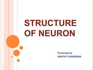 STRUCTURE
OF NEURON
Presented by
ARATHY CHANDRAN
 